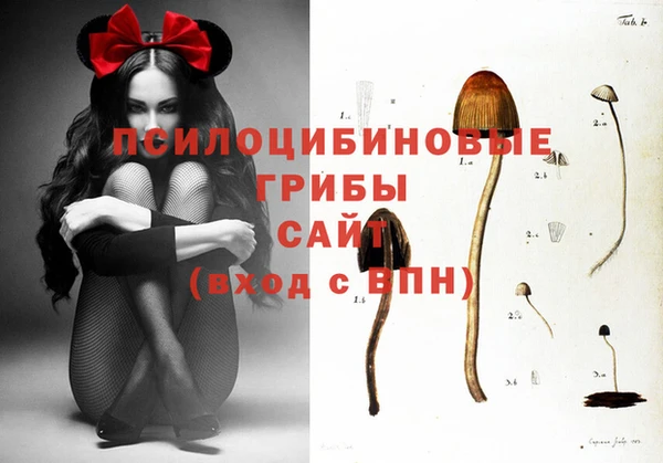 метадон Медвежьегорск